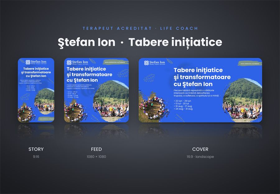 Design și branding pentru Ștefan Ion