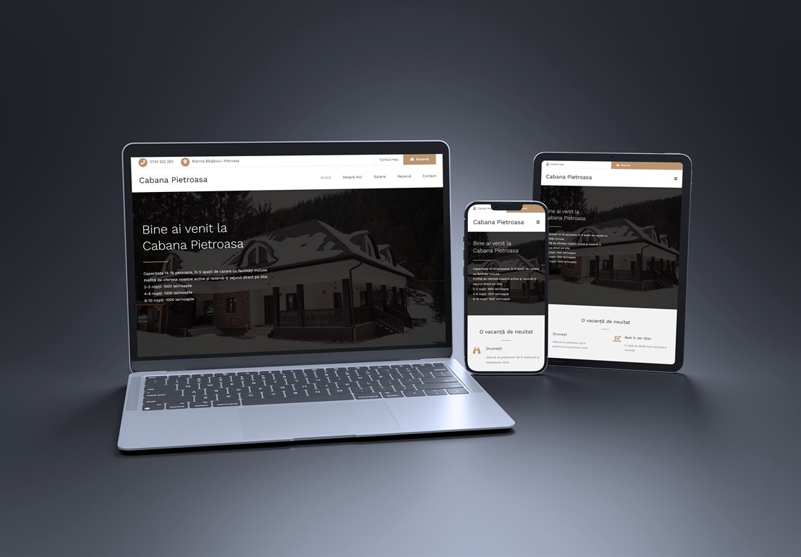 Proiect VMWeb: Cabana Pietroasa